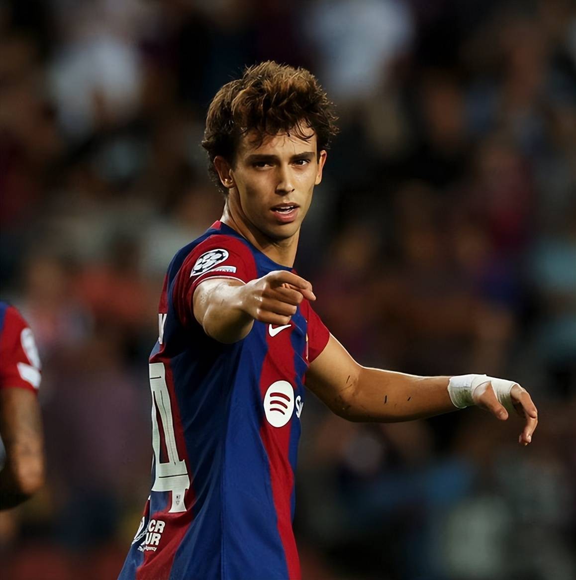 明晨法甲前瞻：若昂·菲利克斯伤情更新，上海海港冲击零封纪录的简单介绍